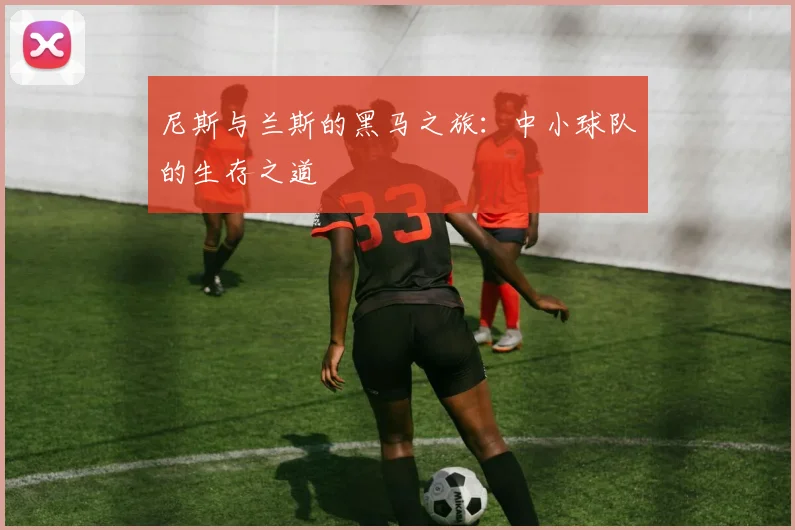 尼斯与兰斯的黑马之旅：中小球队的生存之道