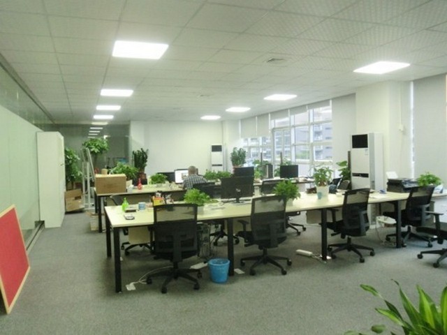 浙江植物种植墙设计